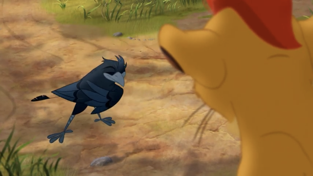 File:The-call-of-the-drongo (223).png