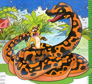 Snake capture Timon