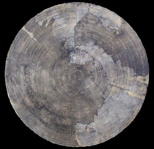 Fichier:Le disque d'Odin-découpage circulaire.jpg