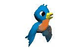 Birdi.gif