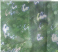 Thumbnail for version as of 17:48, October 24, 2011