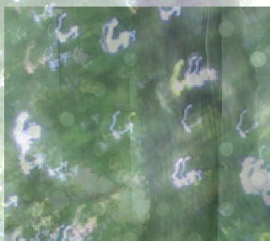 File:Digpoet3.PNG