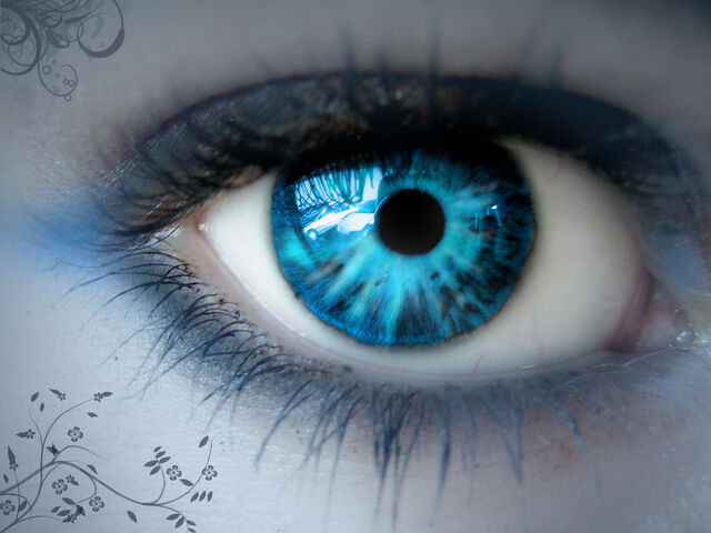 File:Blue Eye.jpg