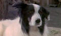 Thumbnail for version as of 15:30, February 21, 2011