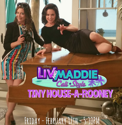 File:TinyHouse14.png
