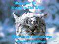 Thumbnail for version as of 16:20, November 5, 2011