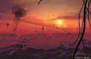 Kandras Sky