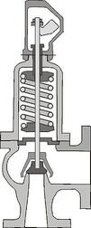 Safety Valve