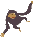 Apokay