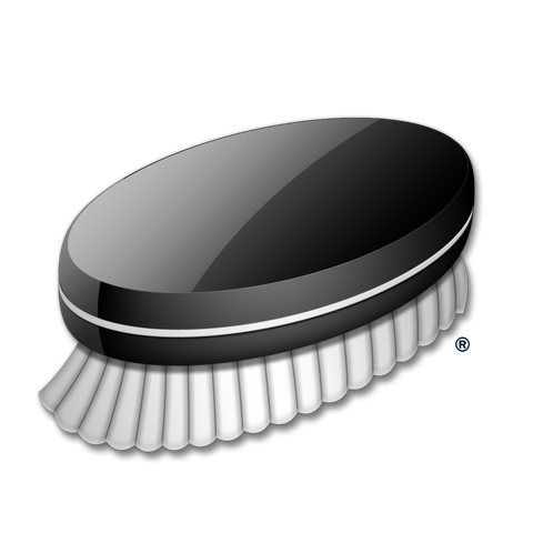 File:Ds logo.png