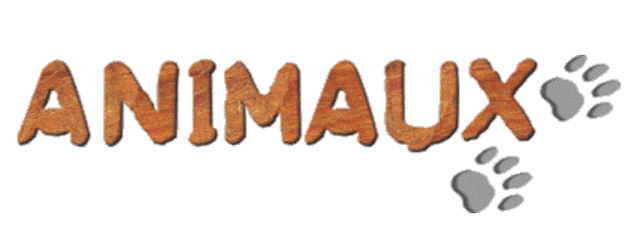 File:ANIMAUX 1998 BIG.gif