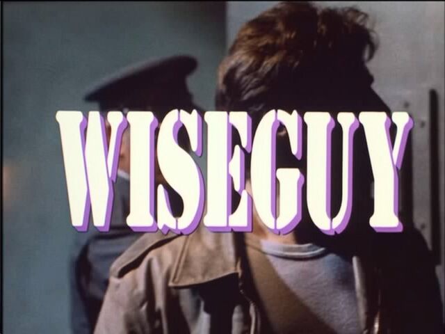 File:Wiseguy-complete-tv-series-dvd-ken-wahl-all-4-seasons-3b26.jpg