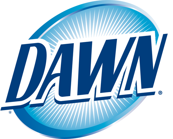 File:Dawn logo 2008.png
