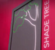 Shade-tree-rupauls-drag-race-season-8-episode-2-300x275