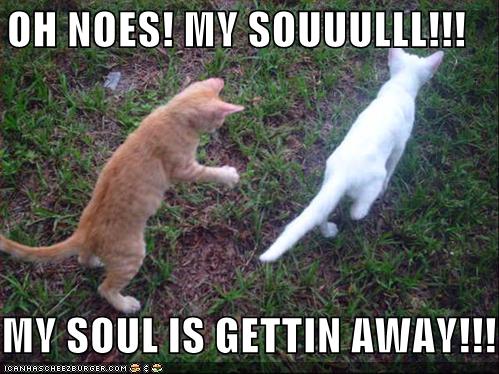 File:Catsoul.jpg