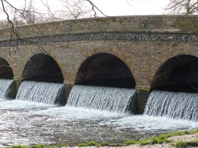 File:P1240648.jpg