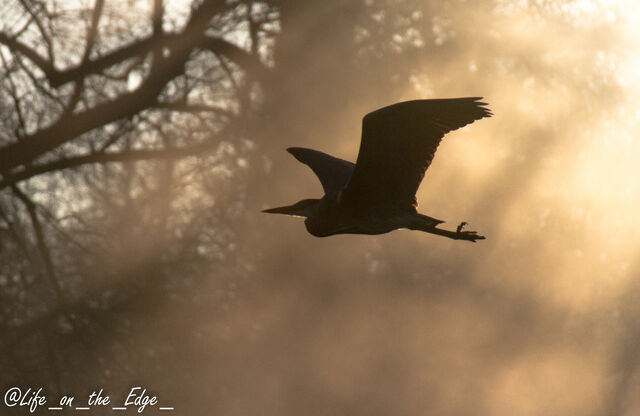File:Lightroom-7939.jpg