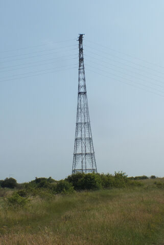 File:03.jpg
