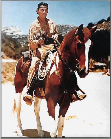 File:Scout.jpg
