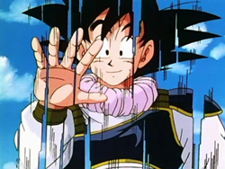 250px-GokuS35
