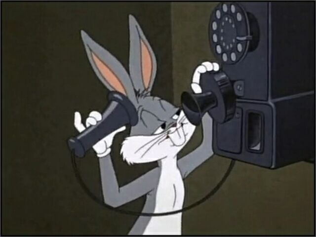 File:People are Bunny 20.jpg