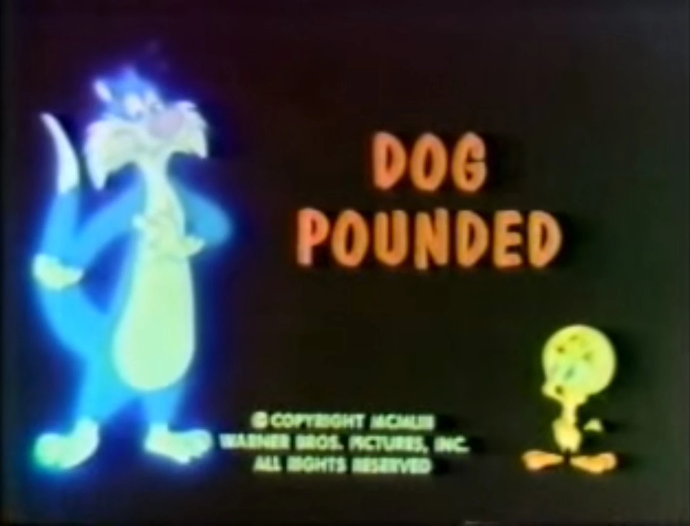 Dog Pounded | Looney Tunes Wiki | FANDOM powered by Wikia