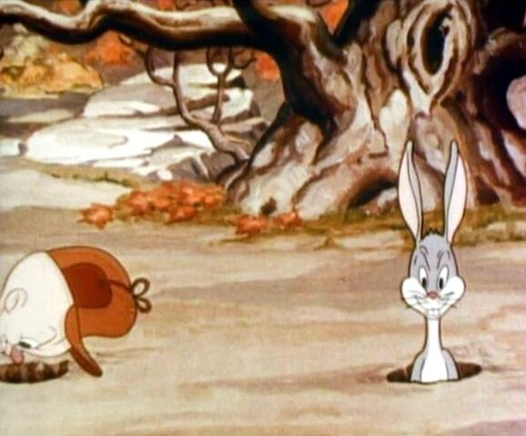 File:FirstBugs.jpg