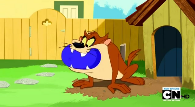 File:Taz ball.png