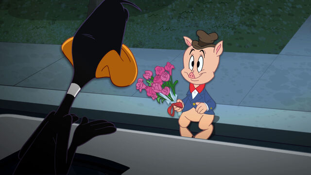 File:Tumblr lonqn95eSA1qhansmo1 1280.jpg
