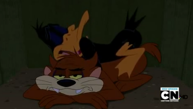 File:Daffy & Taz.png