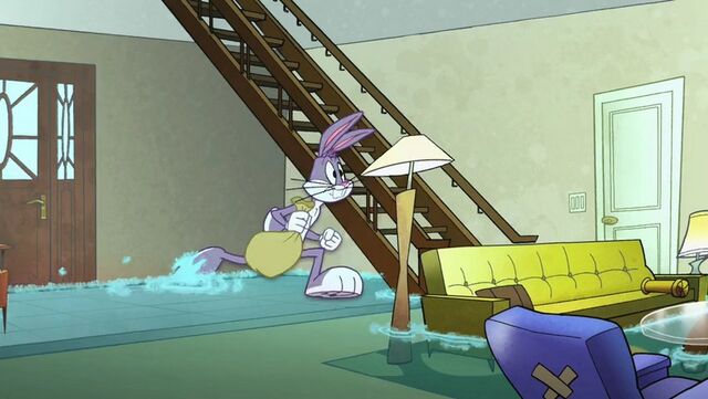 File:The Shelf60.jpg