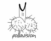 Pollavision