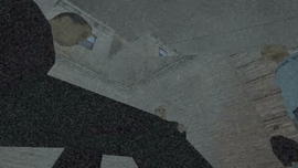 Leonardo malherido.png