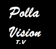 TV POLLAVISION