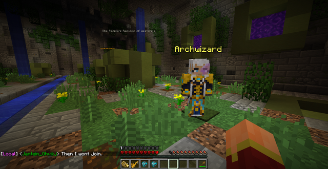 File:Archwizardplayermodel.png