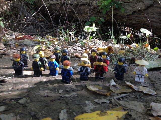 File:Ninjago2DamAllies.jpg