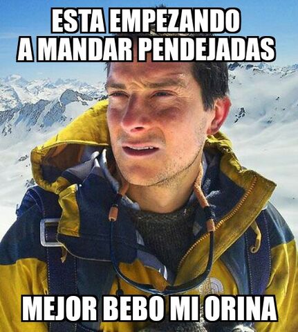File:Bear Grylls Survival Tactics.jpg