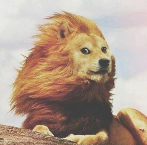 Archivo:Doge Leon.jpeg