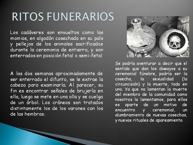 Archivo:Diapositiva7.jpg