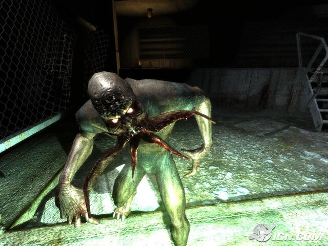 File:Stalker-shadow-of-chernobyl-20070129060042616.jpg