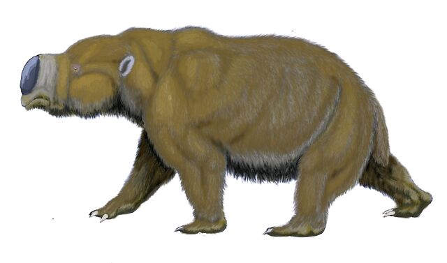 File:Diprotodon11122.jpg