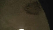 Radzinski stain.jpg