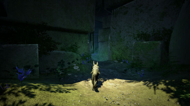 File:LostEmberScreenshot10.jpg