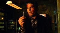 Massimo with Twig of Zamora (411)