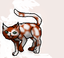 Redsplash
