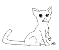 Thumbnail for version as of 05:52, December 11, 2011