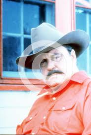 File:Smokey Bandit3.jpg