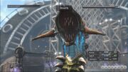 Bogimoray-01