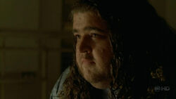 FFHurley4x10.jpg