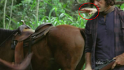 5x15-blooper-hand-of-horse-trainer.png